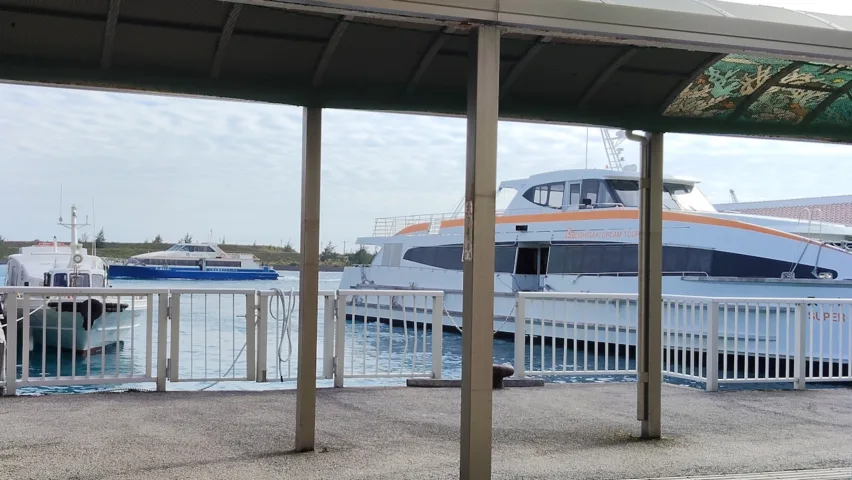 竹富島と西表島を効率よく周る方法【2026年版】石垣島発・1泊2日モデルコース完全ガイド